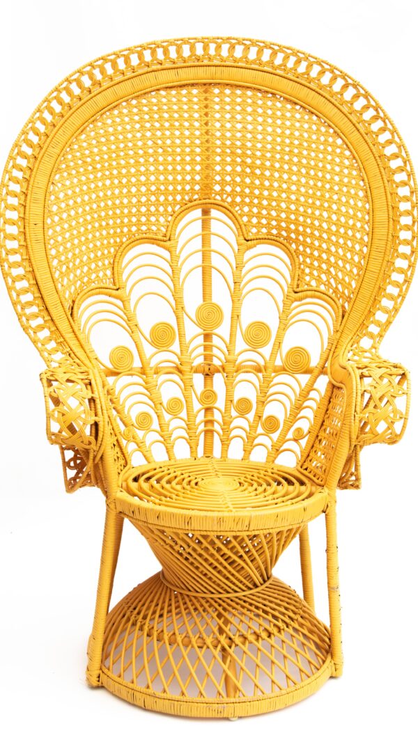 Peacock Chair