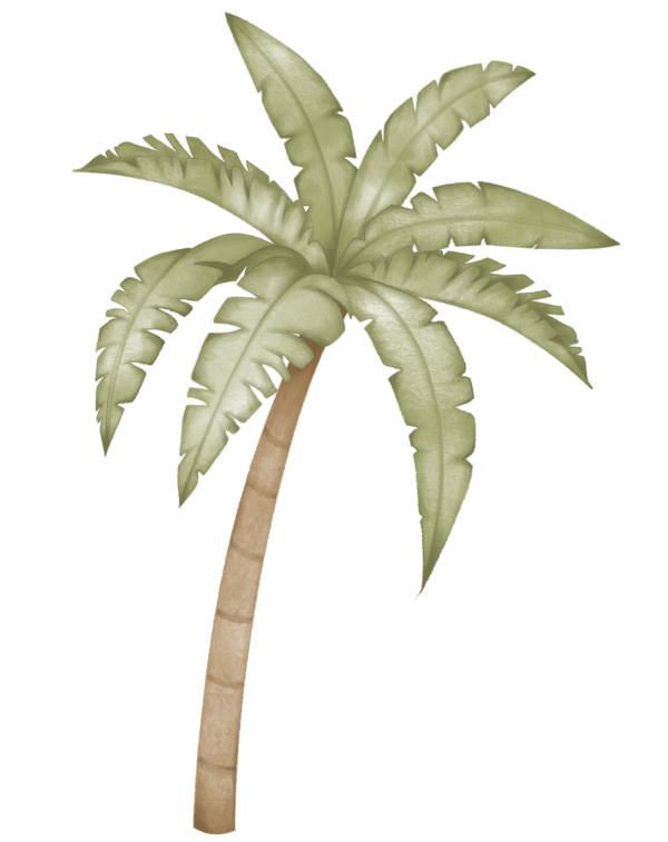 Cut out - Dino thema set - Afbeelding 3